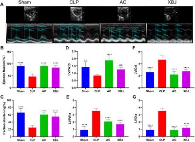 ACT001 improved cardiovascular function in septic mice by inhibiting the production of proinflammatory cytokines and the expression of JAK-STAT signaling pathway
